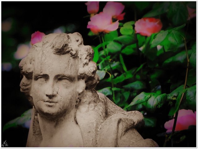 Die Rose spricht alle Sprachen der Welt.
Ralph Waldo Emerson (1803 - 1882)