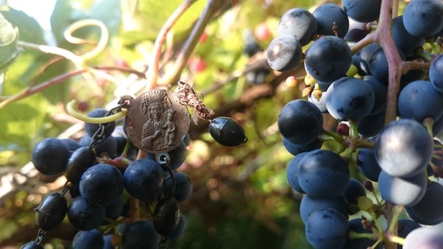 „Nun aber bleiben Glaube, Hoffnung, Liebe, diese drei; aber die Liebe ist die größte unter ihnen!“ (1. Korinther 13:13)

Einen schönen und erholsamen Feiertag Mariä Himmelfahrt! LG Ivica

(Symbol)Bild: Ivica Stojak Ein Bild aus thematischer Bilderreihe: Glaube, Hoffnung, Liebe, Mariä Himmelfahrt, Mutter-Liebe, Mutter Gottes, Mamas Rosenkranz, einfach zum Nachdenken, einfach zum Umdenken“