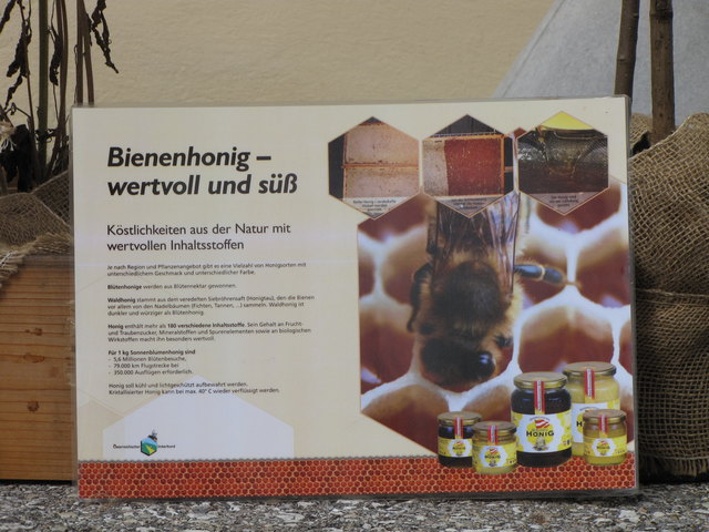 Mit Schautafeln wurden wichtige Informationen vermittelt