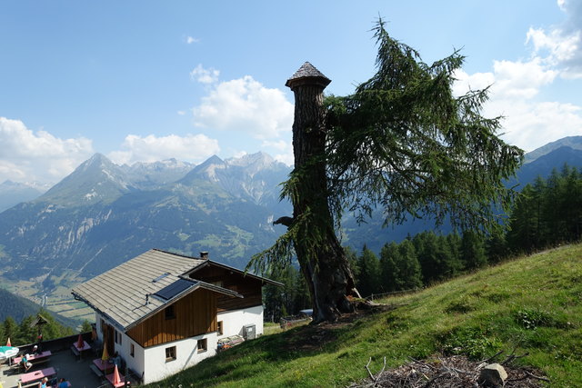 dem mächtigen Larch auf der Zunigalm einfach einen Hut aufgesetzt!