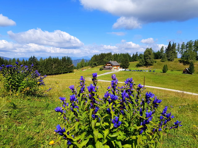 Fröhlichkeit ist die Sonne ,die alles zum Blühen bringt ..  Danke dir liebe  Klothilde für deine zahlreichen Wandertipps