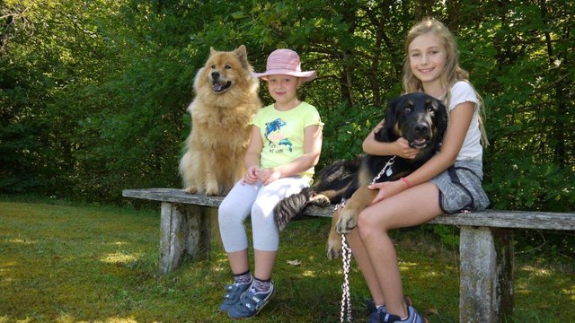 Ofner-Wiesner Lea und Riedler Marie hatten bei der Ferienaktion "Partner Hund" des Hundevereins ÖGV Steyrtal viel Spaß.