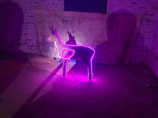 Spektakuläre Lichteffekte schaffen besondere Bedingungen für die Schützen. | Foto: SVM