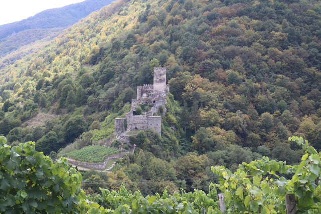 Blick zur Ruine "Hinterhaus", sie ist eine nahezu 1.000 Jahre alte Wehranlage!