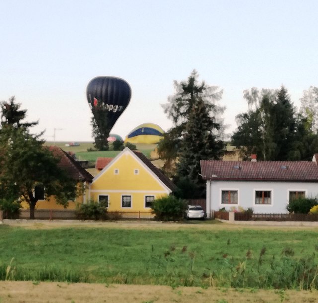 ... Landung direkt vom Küchenfenster beobachtet