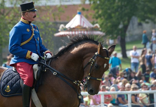 Das große Pferdefest auf Schloss Hof ist nicht nur für passionierte Reiter ein Augenschmaus. | Foto: SKB/Jutta Kirchner