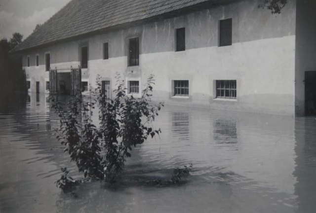 Hochwasser 1954 in Pupping | Foto: FF Pupping