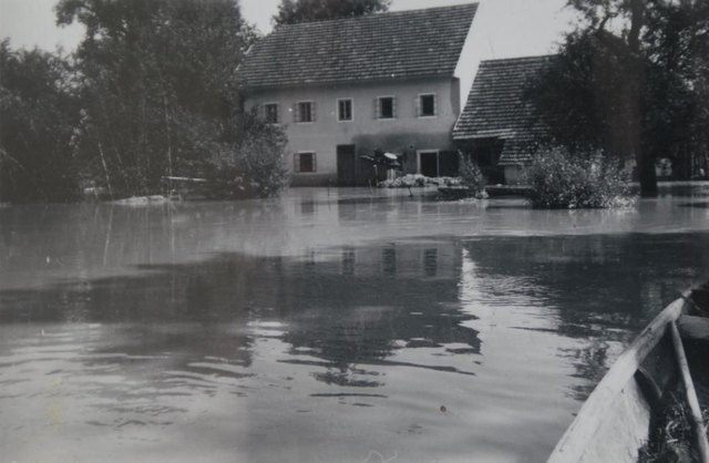 Hochwasser 1954 in Pupping | Foto: FF Pupping