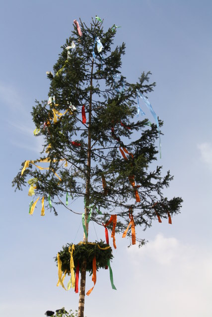 Am 2. September wird im Kalsdorfer Schulzentrum der Maibaum gefällt.