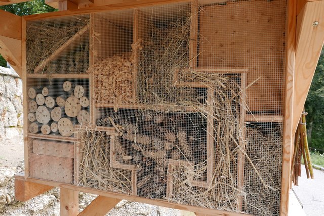 Eröffnung der Blühflächen in Henndorf am15. August 2018