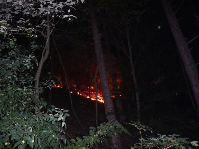 Der Brand wurde gegen 23:00 Uhr von Anrainern auf der Breitenfurter Straße entdeckt. | Foto: MA 68 Lichtbildstelle