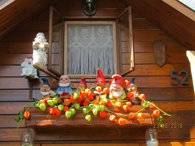 mit den Lampionblumen und senden bald erfrischende Grüße.