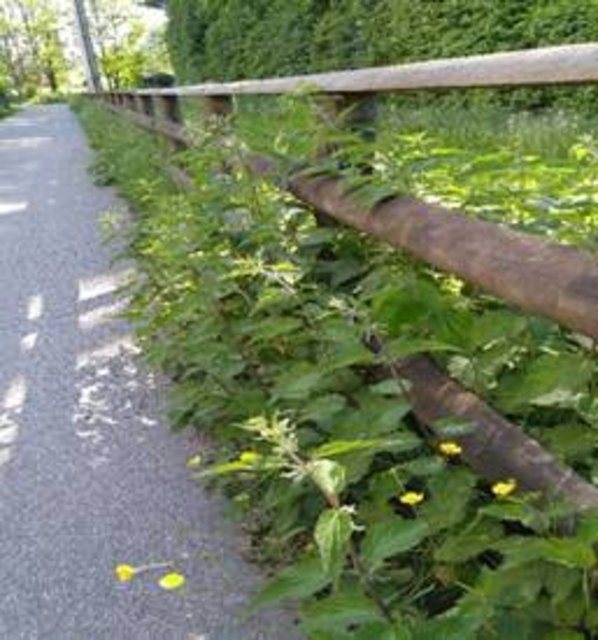 Damals: Der Weg wurde von den Gleisen getrennt. | Foto: KK