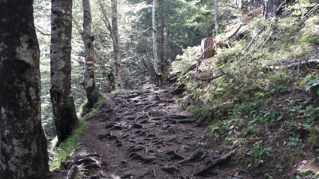 "Egal, was dir in den Weg gelegt wird und wie holprig er ist - steig drüber..."