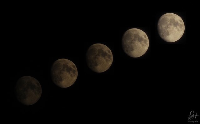 "Ich wandere und wandere, von einer Seite auf die andere..." Wenn er seine Bahn zieht ist es immer wieder faszinieren. Wünsche euch ein schönes Wochenende!