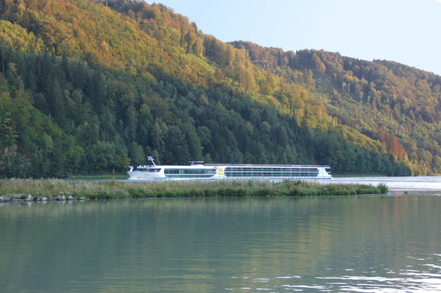 Donaukreuzer bei der Mündung der Großen Mühl