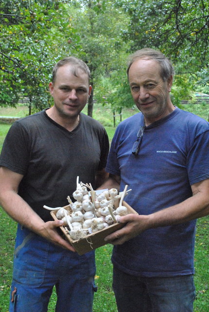 Stolz: Heimo und Heinz Oberauner mit ihrem Knoblauch, der sich  in der Direktvermarktung zu Erdäpfeln & Co gesellt