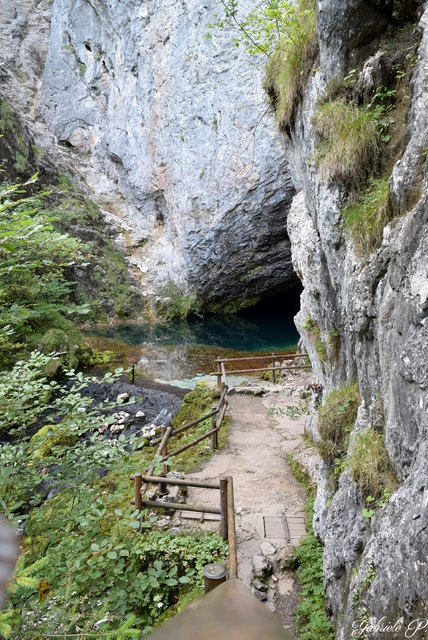 Mein Ausflug führte mich zum Pießling - Ursprung. War ein kleine gemütliche Wanderung mit schöner Sackgasse  :)                    © Gabriele P.