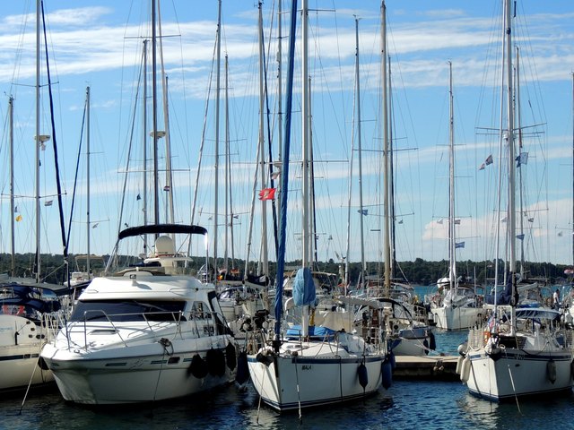 im sicheren Hafen