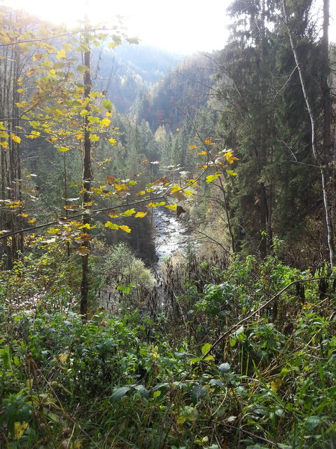 Tenneck: Bei Tenneck, einem Ortsteil von Werfen, führen zwei Wege – die untere Straße und die obere Straße – ins Blühnbachtal zum Schloss Blühnbach zurück. Entlang der unteren Blühnbachtalstraße kann man sich vielerorts im Bach abkühlen – ein Geheimtipp. | Foto: TVB Werfen