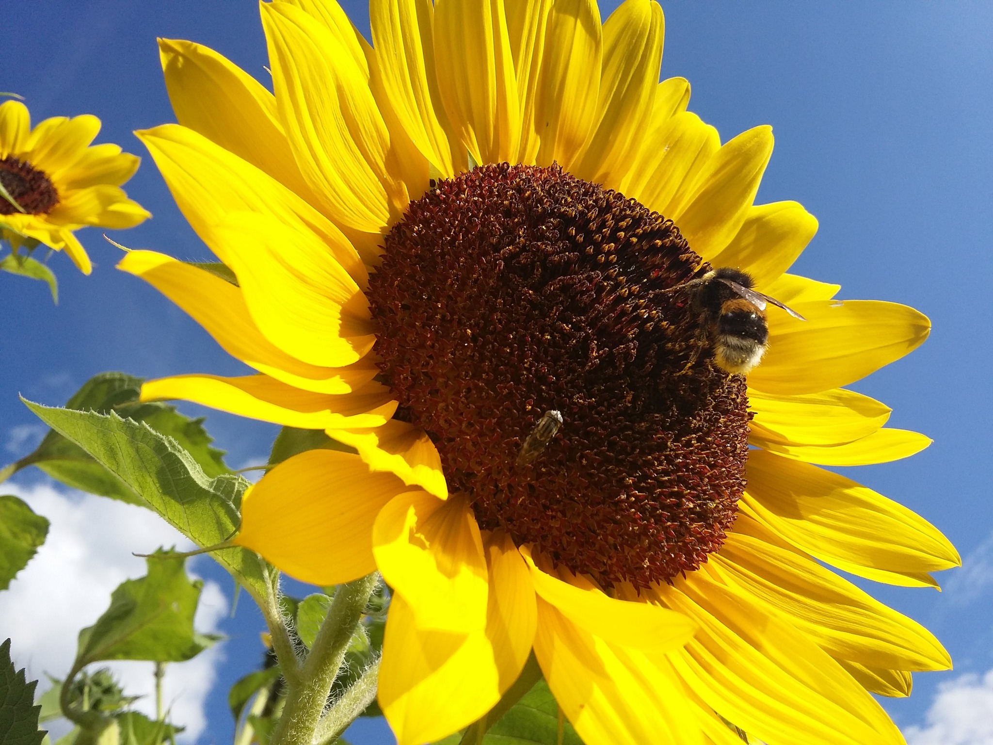 da geht die Sonne auf - Landeck