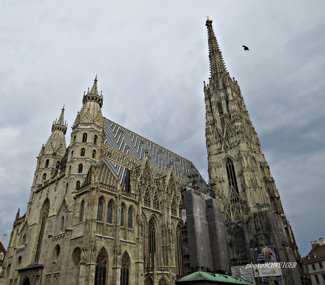 Und der Steffl, der schaut owa.......