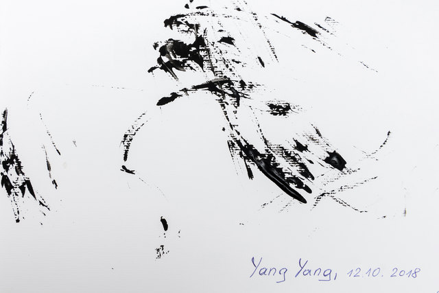 So könnte die Signatur von Yang Yang aussehen. Die Bilder sind Unikate. | Foto: Daniel Zupanc