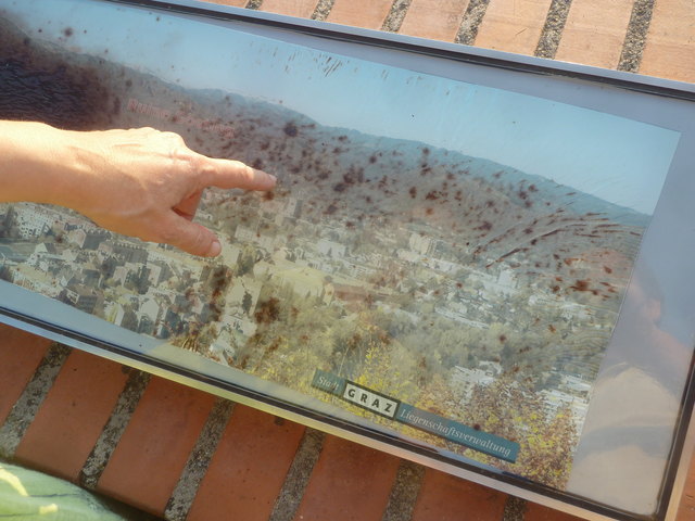 Braune Flecken überall...