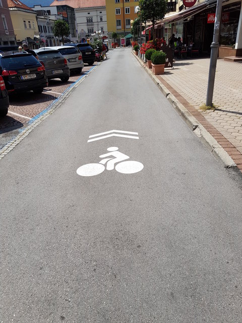 Solche Piktogramme sollen die Rücksichtnahme von Autofahrern und Radfahrern erhöhen | Foto: KK/eggspress
