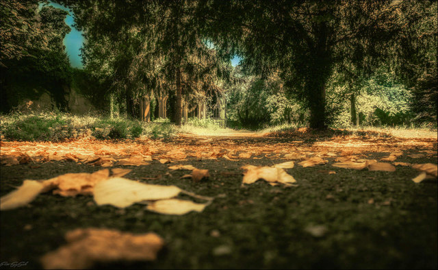 Der Lärm ist aus den Freibädern verschwunden, in der Natur wird die Stille noch stiller, nur der Mensch hetzt weiter und verpasst zu oft das Innehalten. (Ich würd's in VB ansehen ;)