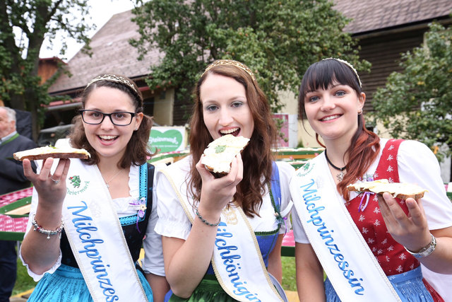 Die Milchhoheiten werden beim Almabtrieb erwartet. Foto: Mlakar