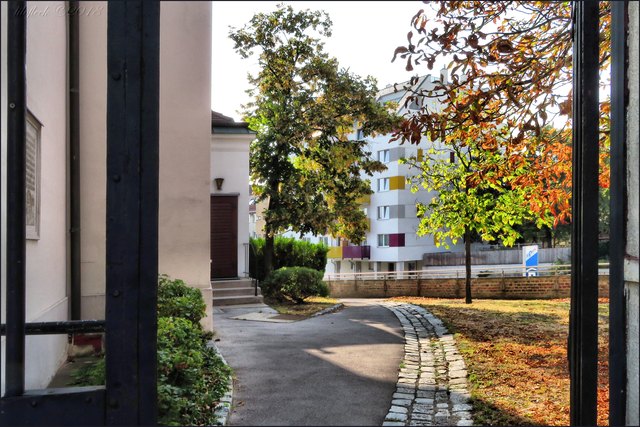 Wie sonnig und friedlich Herbst sein kann, zeigt dieser Blick in den Pfarrgarten