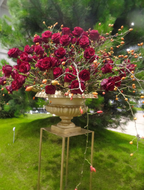 Rote Rosen die Königin der Blumen.