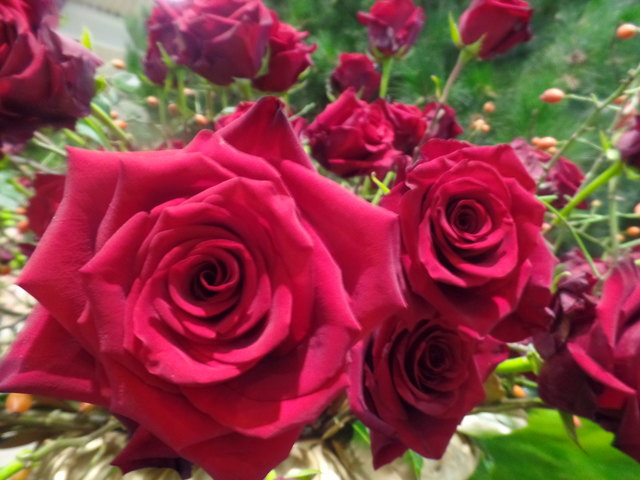 Rote Rosen zum Abschied.