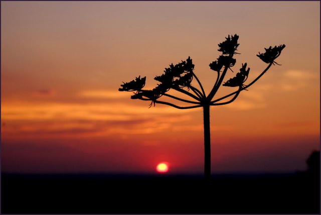 ...macht mich der Anblick von Schönheit reich