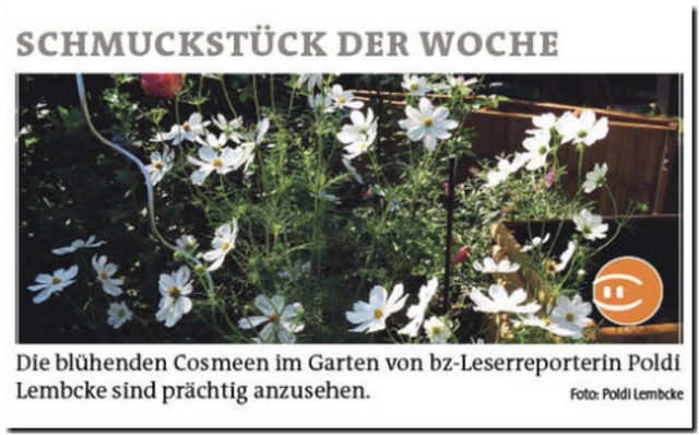 Ausgabe 35/2018 Ottakring