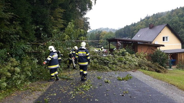 Foto: FF Fresing – Kitzeck