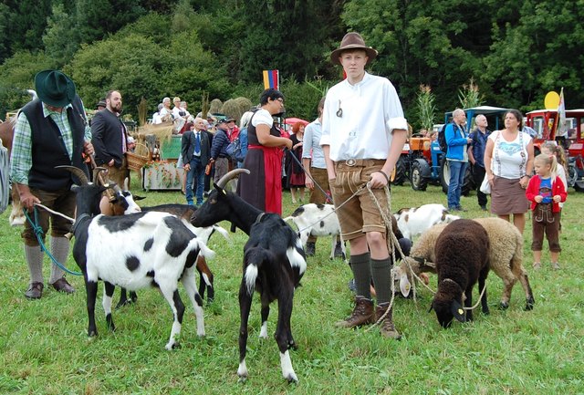 Thomas Steiger aus Pirk mit Tauernschecken