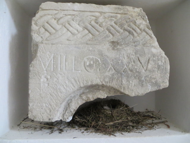 Unter einem der  Ältesten Stein Fund, wurde ein Frisches Nest gebaut,.