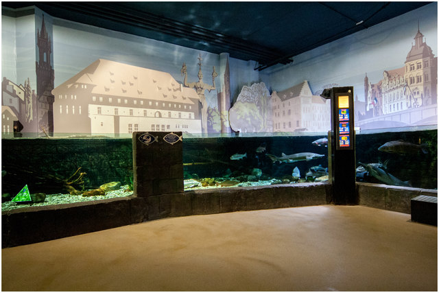 Bild 06: Das Becken für Störe mit Hintergrundbilder von Konstanz. Empfehle VOLLBILDMODUS! | Foto:  © Ing. Günter Kramarcsik