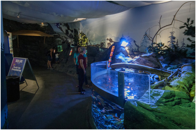 Bild 07: Es folgen nun eine Reihe von Becken und Aquarien wie hier mit der Seesternbucht. Empfehle VOLLBILDMODUS!  | Foto: © Ing. Günter Kramarcsik