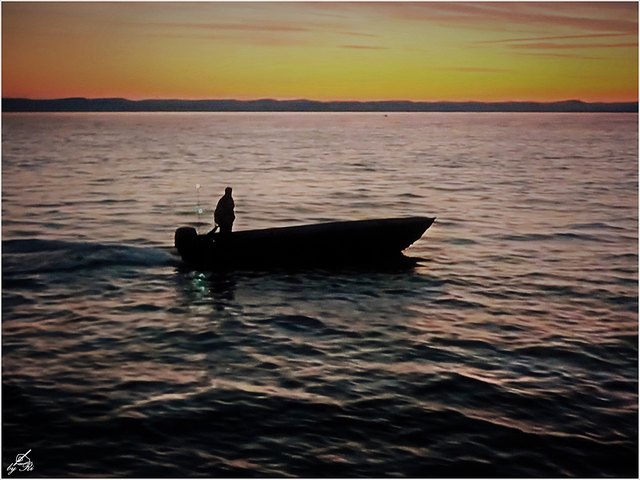 Das Schicksal ist wie ein Netz voll Fische, sie ziehen,
ziehen zu fest, dann platzt es und die Fische sind weg.

Leo Tolstoi (1828 - 1910)