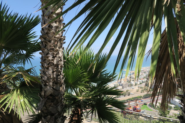 Foto: Michaela Gugglberger