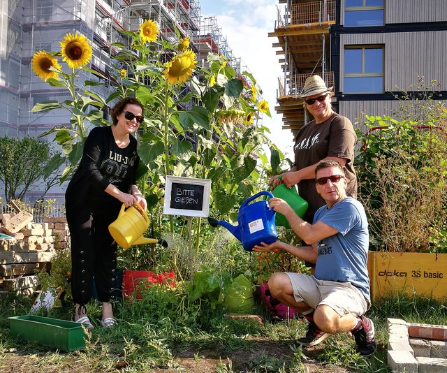 Claudia Almer, Harald Kicker und Max Moser (vorne) sind "Sonnwendgarten-Gartler" der ersten Stunde. | Foto: Sonnwendgarten
