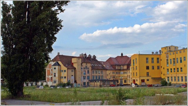 In der Odoakergasse wird gebaut, deshalb konnte ich in den Hof der Fa. Meinl schauen.
