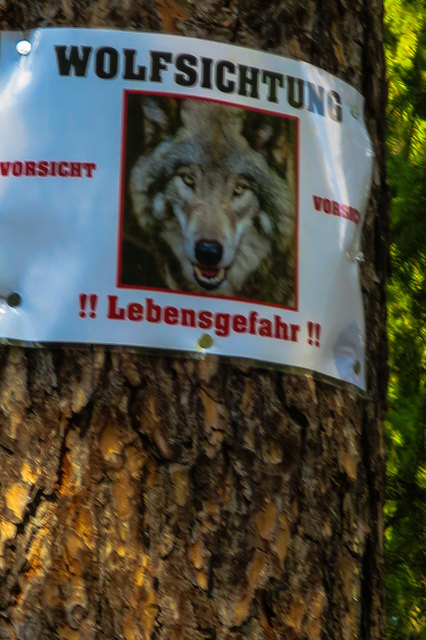 ....wer hat Angst vorm bösen Wolf??????