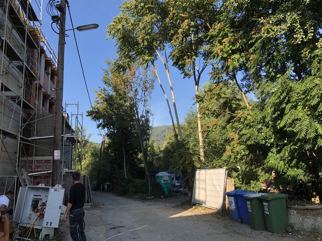 Eng ist es in der Max-Reger-Gasse schon jetzt. Im Wald, auf dem Gräber vermutet werden, sollen Wohnungen entstehen. Auch links wird gebaut. | Foto: WOCHE