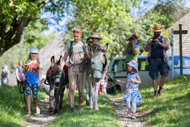 Eine Eselwanderung zählte zu den Highlights für Kinder. | Foto: önj Unterkagerer/Binder