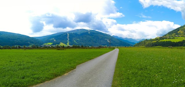 ...doch der Unterschied zeigt sich am Bewuchs. Rechts blühen allerlei Wiesenblumen im Grün, links ist Einheitsgrün.