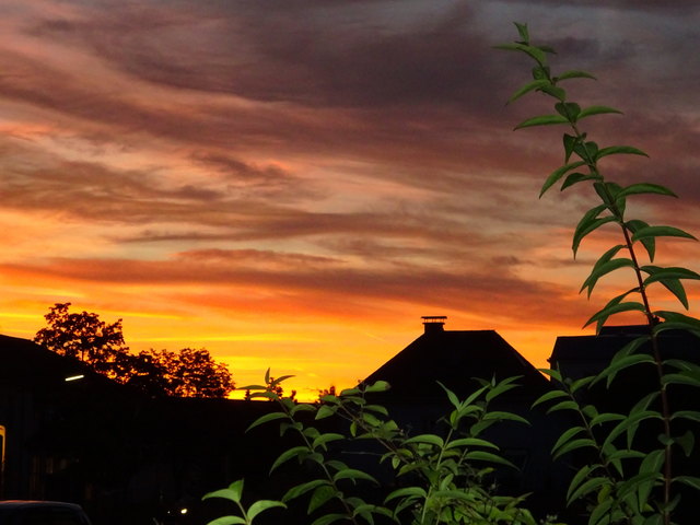 Farbenpracht am abendlichen Himmel